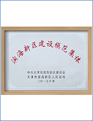 滨海新区建设模范集体