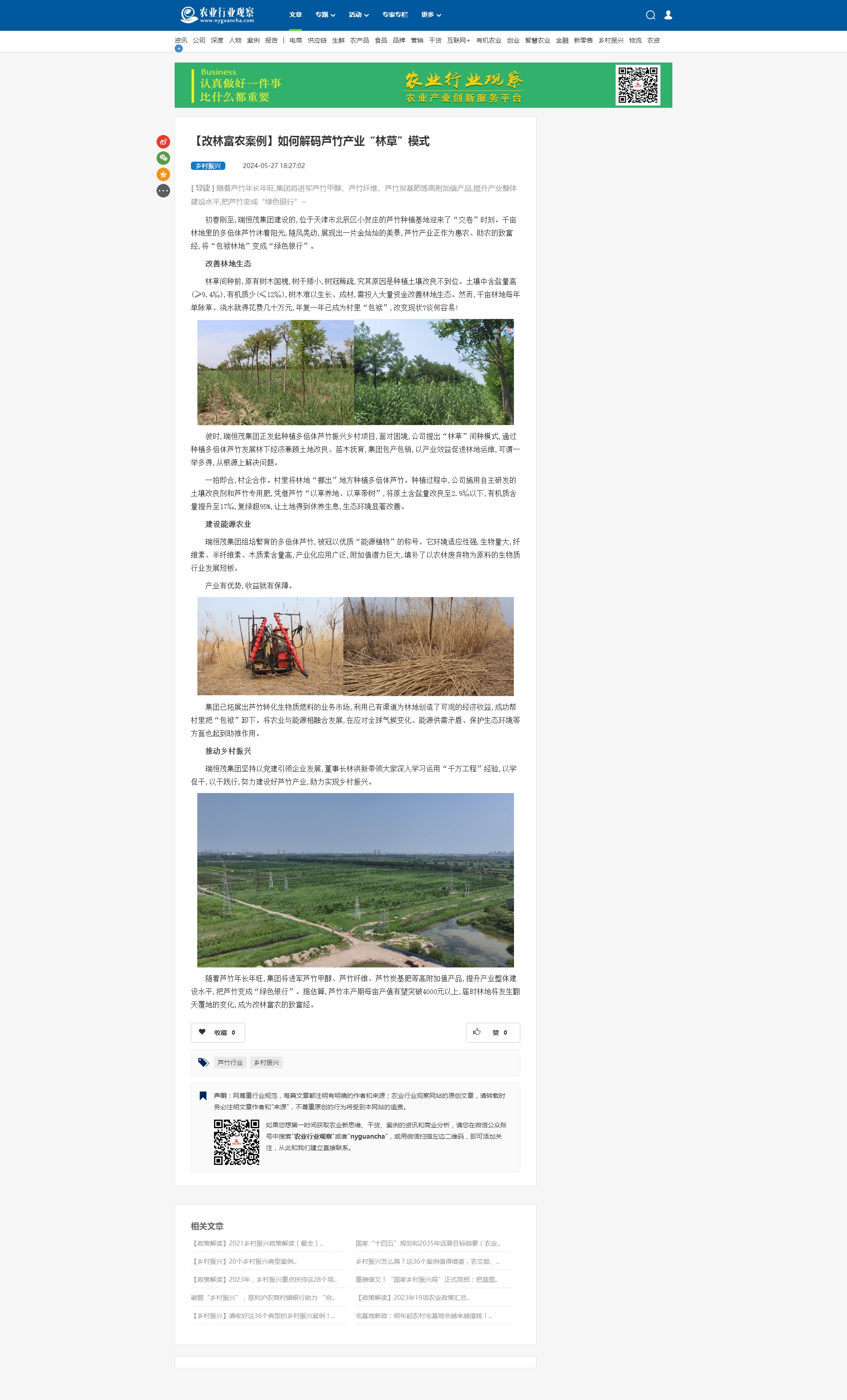 【改林富农案例】如何解码芦竹产业“林草”模式 - 乡村振兴 - 农业行业观察-影响农业,影响世界.jpg