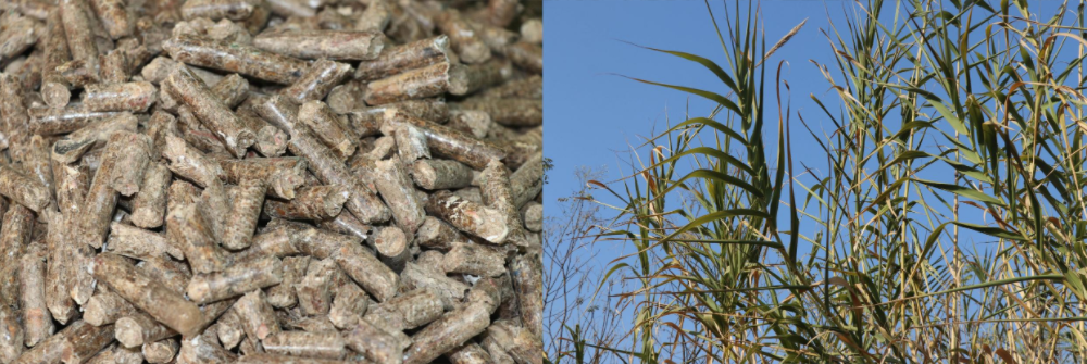 1752717151826270.png 1ecce354e2368f26df56def6f74f094.png