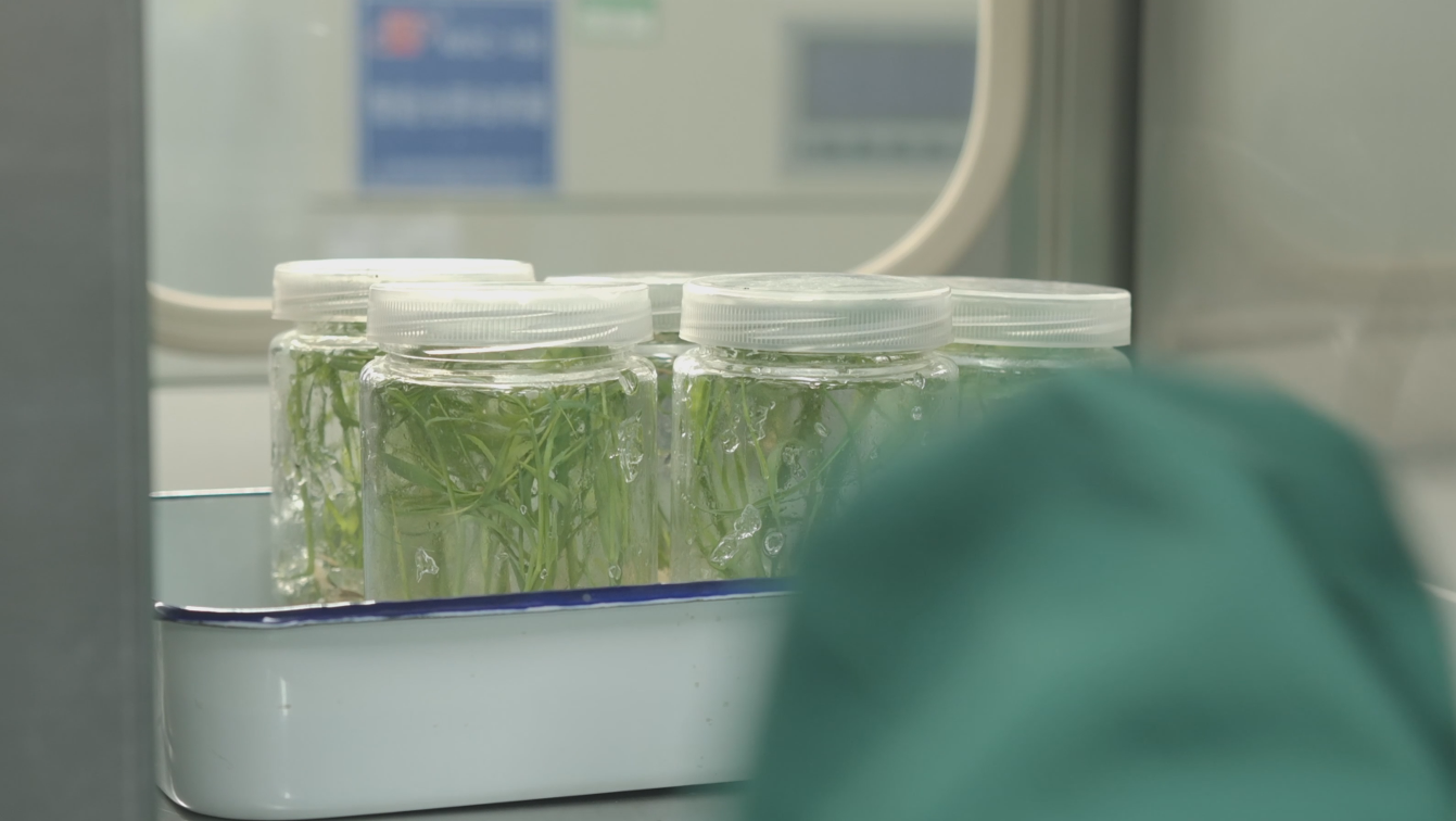 1752717180728002.png 90ad3342f9177db03e607f979b79dac.png