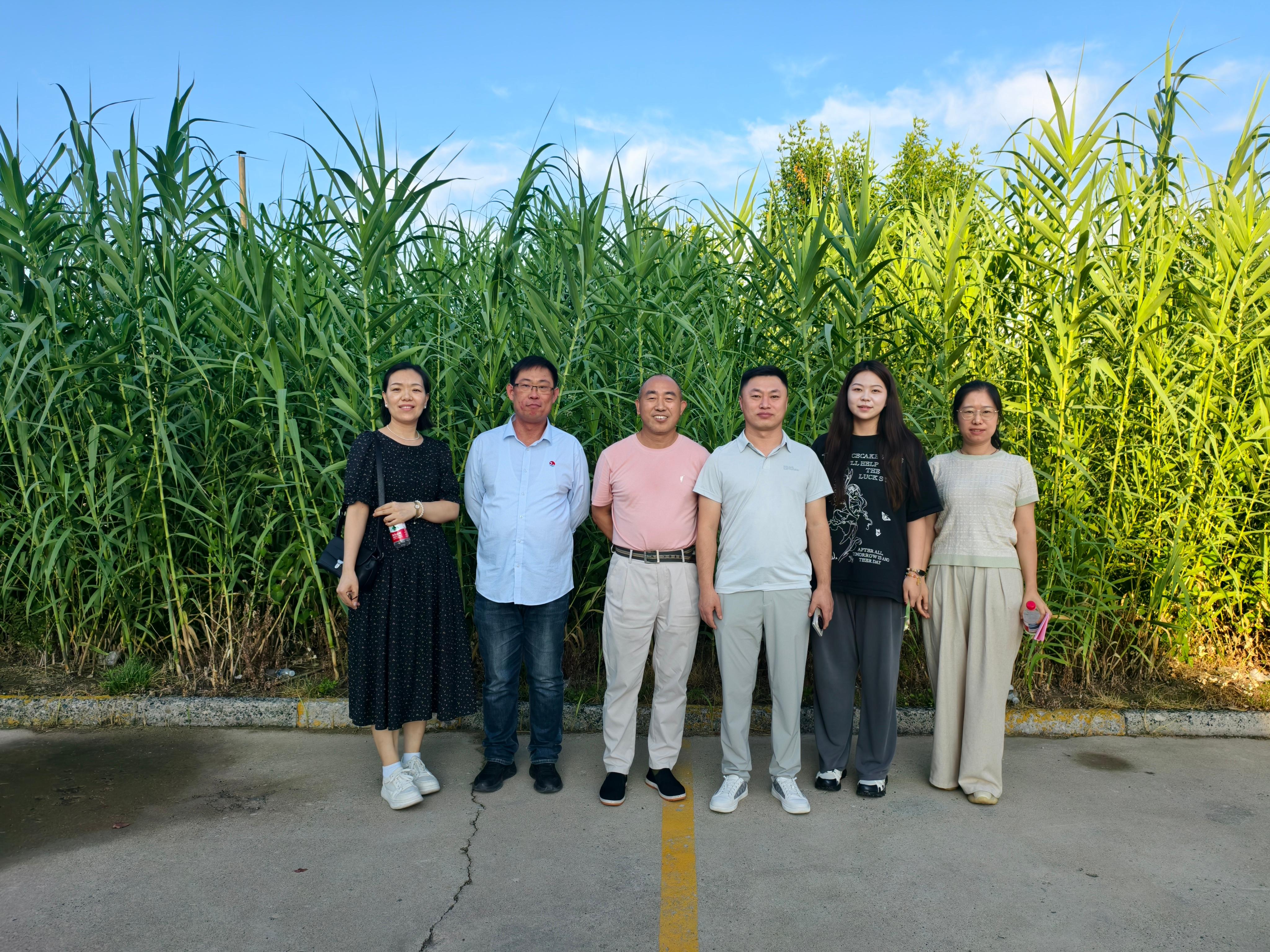 1754379227780954.jpg 5cc50174519afb8832b4f6cf603ec91.jpg